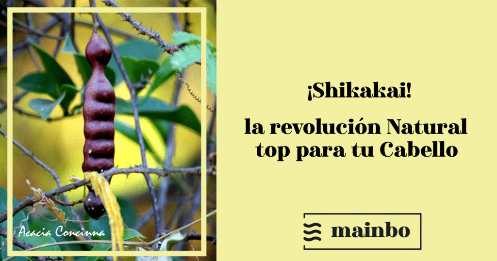 shikakai