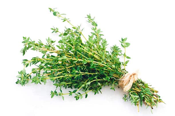 Aceite esencial de tomillo