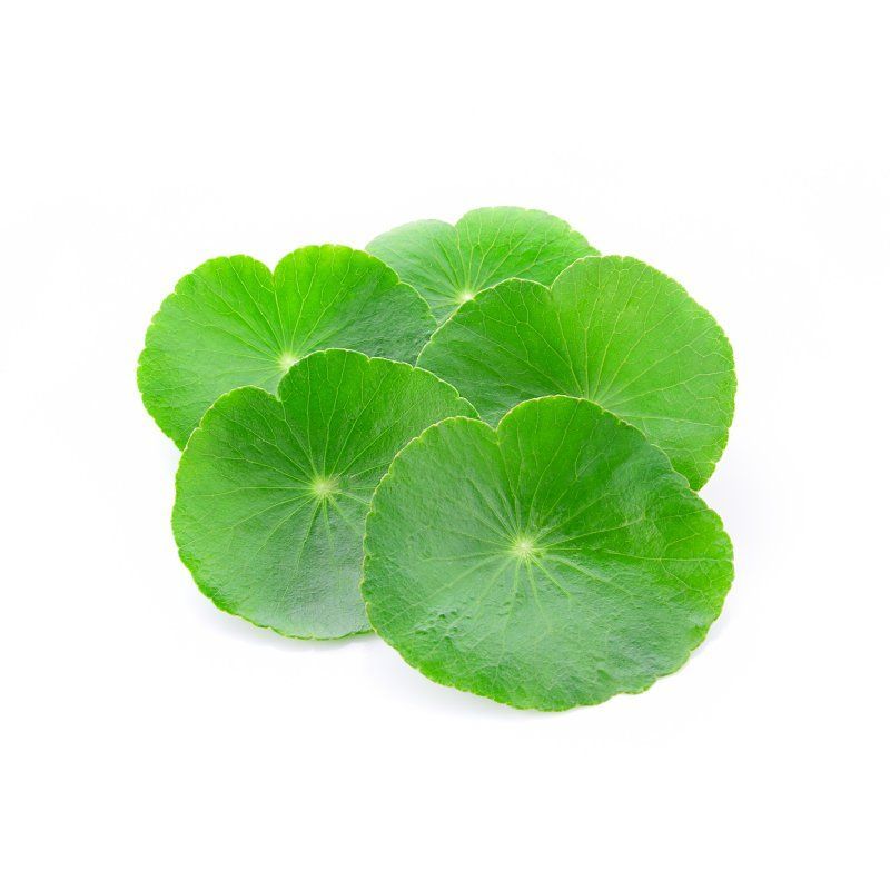 Centella Asiática