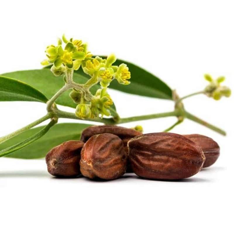aceite de jojoba
